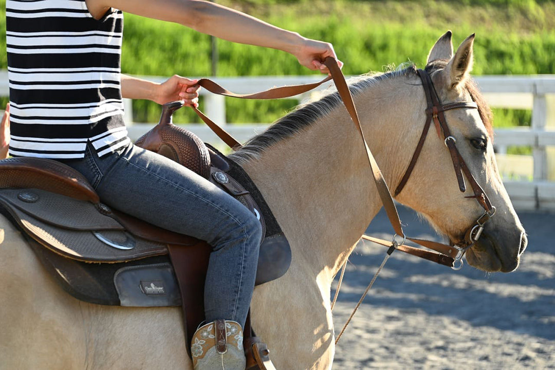 家族で乗馬体験
